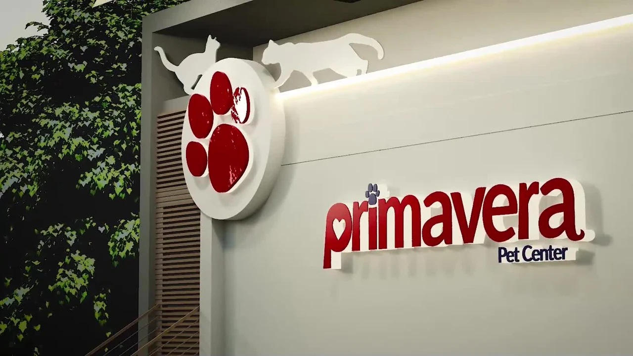 Acervo Priorize — Branding